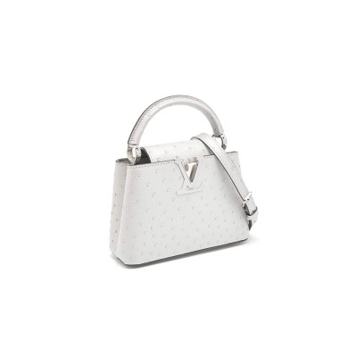LOUIS VUITTON CAPUCINES MINI BAG N83924 (21*14*8cm)